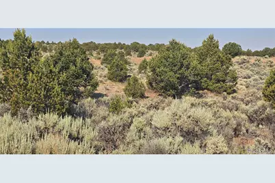 Lot 4075 Tiernan Road, Fort Garland, CO 81133 - Photo 8