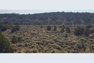 Lot 4075 Tiernan Road, Fort Garland, CO 81133 - Photo 14