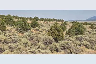 Lot 4075 Tiernan Road, Fort Garland, CO 81133 - Photo 4