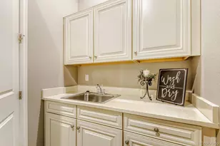 10155 Atlanta St, Parker, CO 80134 - Photo 38