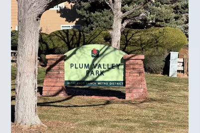 10505 Hyacinth Place, Highlands Ranch, CO 80129 - Photo 38