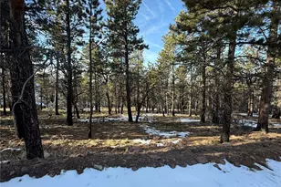 Lot 356 Spangle Dr, Fort Garland, CO 81133 - Photo 1