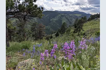 25421 Westridge Road, Golden, CO 80403 - Photo 22