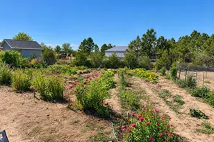 5207 Co Rd P, Wiggins, CO 80654 - Photo 48