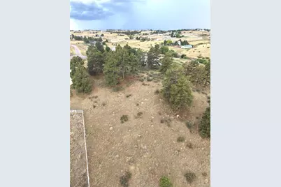 46341 Needleleaf Lane, Parker, CO 80138 - Photo 8