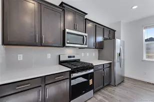 14329 Beebalm Ave, Parker, CO 80134 - Photo 10