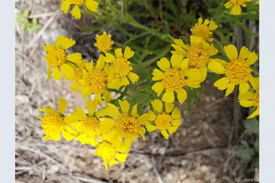 758 Black Beaver Circle, Hartsel, CO 80449 - Photo 24