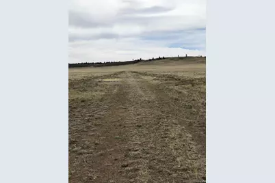 758 Black Beaver Circle, Hartsel, CO 80449 - Photo 6