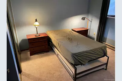 710 City Park Avenue #523, Fort Collins, CO 80521 - Photo 16