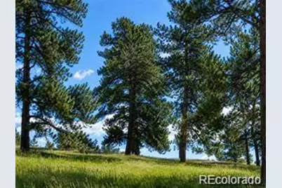 2 Forest Rim, Aurora, CO 80016 - Photo 10