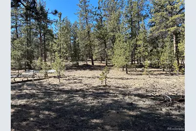 147 Haystack Road, Hartsel, CO 80449 - Photo 1