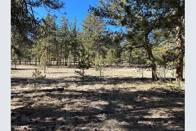 147 Haystack Road, Hartsel, CO 80449 - Photo 2