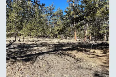 147 Haystack Road, Hartsel, CO 80449 - Photo 6