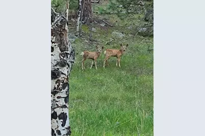 2230 County Road 72, Bailey, CO 80421 - Photo 40