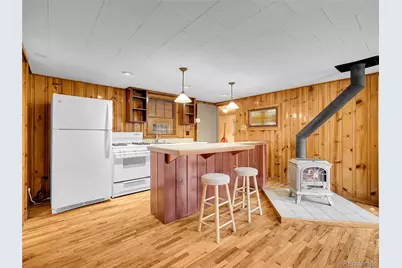 26731 Vosler Street, Conifer, CO 80433 - Photo 10