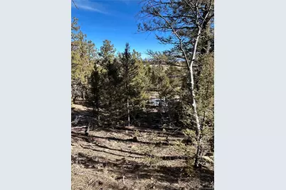 4376 Campfire Road, Hartsel, CO 80449 - Photo 10