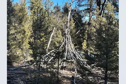 4376 Campfire Road, Hartsel, CO 80449 - Photo 8