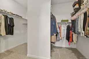 3055 Blithe Pt, Castle Rock, CO 80108 - Photo 28