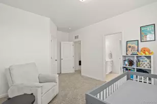 3055 Blithe Pt, Castle Rock, CO 80108 - Photo 30