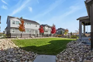 3055 Blithe Pt, Castle Rock, CO 80108 - Photo 42