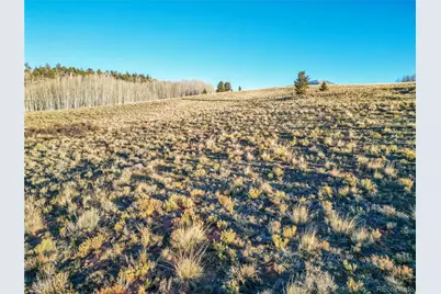 0 Canthook Lane, Fairplay, CO 80440 - Photo 1