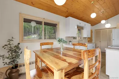 29958 Conifer Mountain Drive, Conifer, CO 80433 - Photo 8