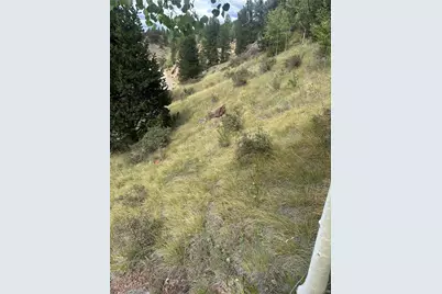 Off Hwy 1, Cripple Creek, CO 80813 - Photo 2