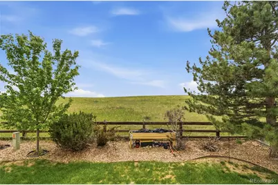 3583 Brushwood Drive, Castle Rock, CO 80109 - Photo 24