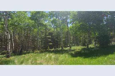 Lot 3085 Henderson Lane, Fort Garland, CO 81133 - Photo 8