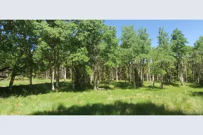 Lot 3085 Henderson Lane, Fort Garland, CO 81133 - Photo 10