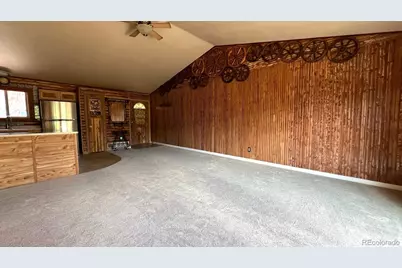 303 Virginia Road #E, Bailey, CO 80421 - Photo 6