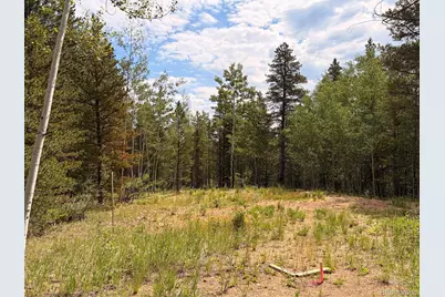 5940 Virginia Canyon Road, Central City, CO 80427 - Photo 18