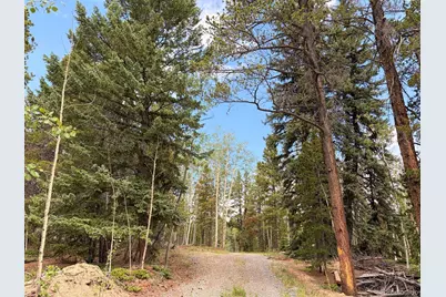 5940 Virginia Canyon Road, Central City, CO 80427 - Photo 8