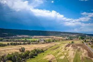 17969 Surface Creek Rd, Cedaredge, CO 81413 - Photo 32