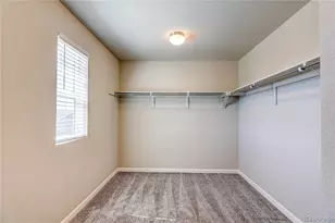 3426 Swabuck Pl, Castle Rock, CO 80109 - Photo 46