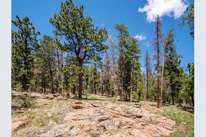 34075 Grouse Lane, Evergreen, CO 80439 - Photo 36