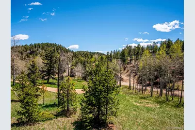 34075 Grouse Lane, Evergreen, CO 80439 - Photo 20