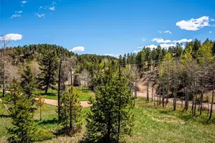 34075 Grouse Ln, Evergreen, CO 80439 - Photo 20