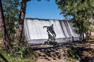 34075 Grouse Ln, Evergreen, CO 80439 - Photo 44