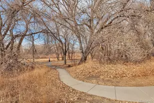 10823 Twenty Mile Road, Parker, CO 80134 - Photo 28