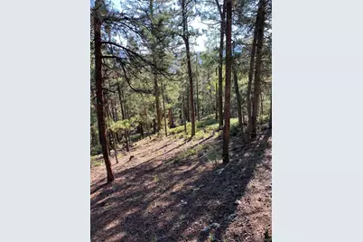 12907 S Cindy Avenue, Pine, CO 80470 - Photo 14