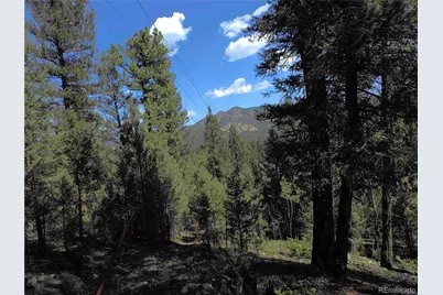 12907 S Cindy Avenue, Pine, CO 80470 - Photo 8