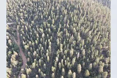 12907 S Cindy Avenue, Pine, CO 80470 - Photo 16