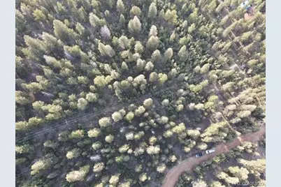 12907 S Cindy Avenue, Pine, CO 80470 - Photo 22