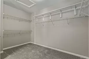 6695 Petunia Pl, Castle Rock, CO 80108 - Photo 18