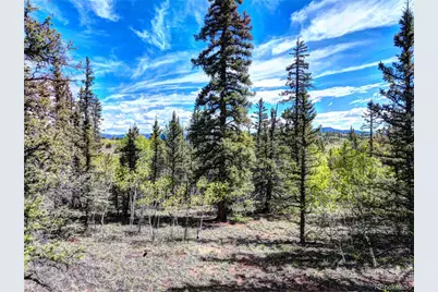 860 Shoshone Drive, Como, CO 80456 - Photo 4