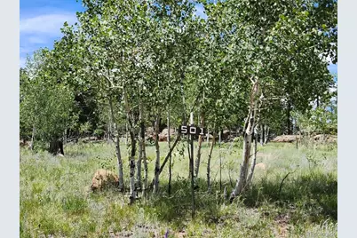 501 Cr-403, Florissant, CO 80816 - Photo 1