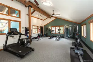 715 S 5th Ave, Frisco, CO 80443 - Photo 26