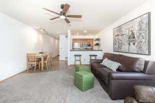 715 S 5th Ave, Frisco, CO 80443 - Photo 18