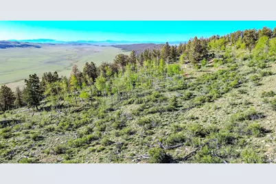 4924 Middle Fork Vista, Fairplay, CO 80440 - Photo 16